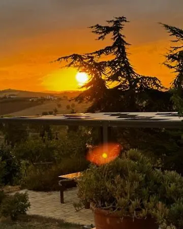 Farm Ca Nick 페르모