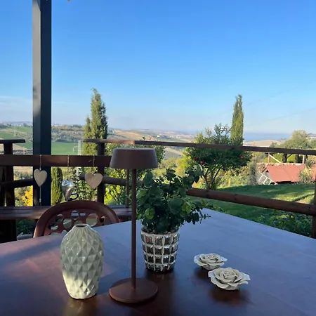 Farm Ca Nick * 페르모