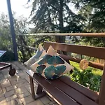 Farm Ca Nick