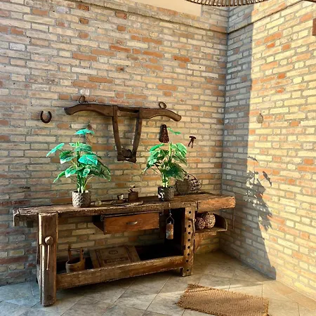 Farm Ca Nick * Fermo