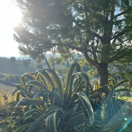 Farm Ca Nick Venkovský dům